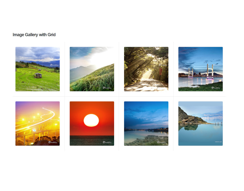Shortcodes Image Gallery - grid 4 column แนะนำ เว็บไซต์สำเร็จรูป NineNIC
